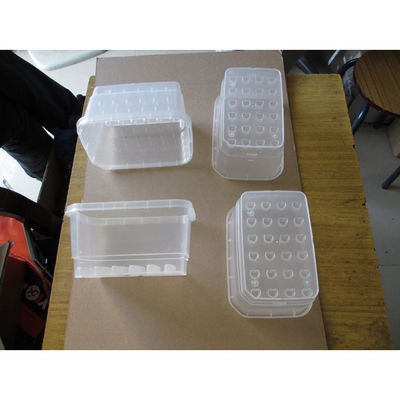 Natural Clear PP HP-740T Plant Seed Growing Box  Single Shot Injection Moulding Services