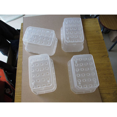 Natural Clear PP HP-740T Plant Seed Growing Box  Single Shot Injection Moulding Services