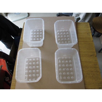 Natural Clear PP HP-740T Plant Seed Growing Box  Single Shot Injection Moulding Services